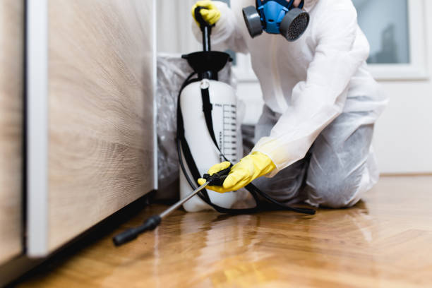 Wasp Removal Services in Grape Creek, TX