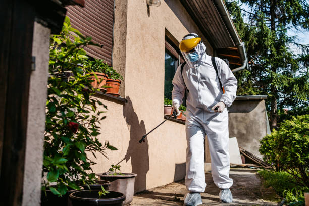 Best Insect Control  in Grape Creek, TX